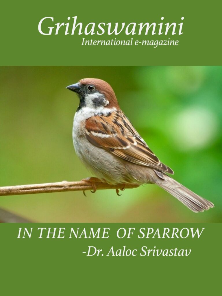 IN THE NAME  OF SPARROW